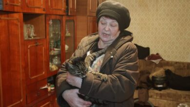 71-year-old still in Kharkiv - Zinaida remains in the death zone for her cats - News
