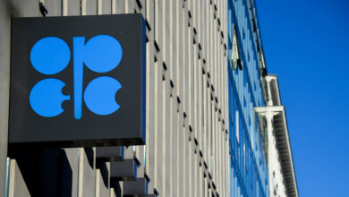 No increase in production: OPEC will not replace Russian oil